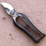 180mmの剪定鋏を愛するプロフェッショナルたち