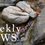 4月5日〜4月11日の刃物・道具・造園ニュース｜天空の坪庭8開催と荒波の鋼材関税