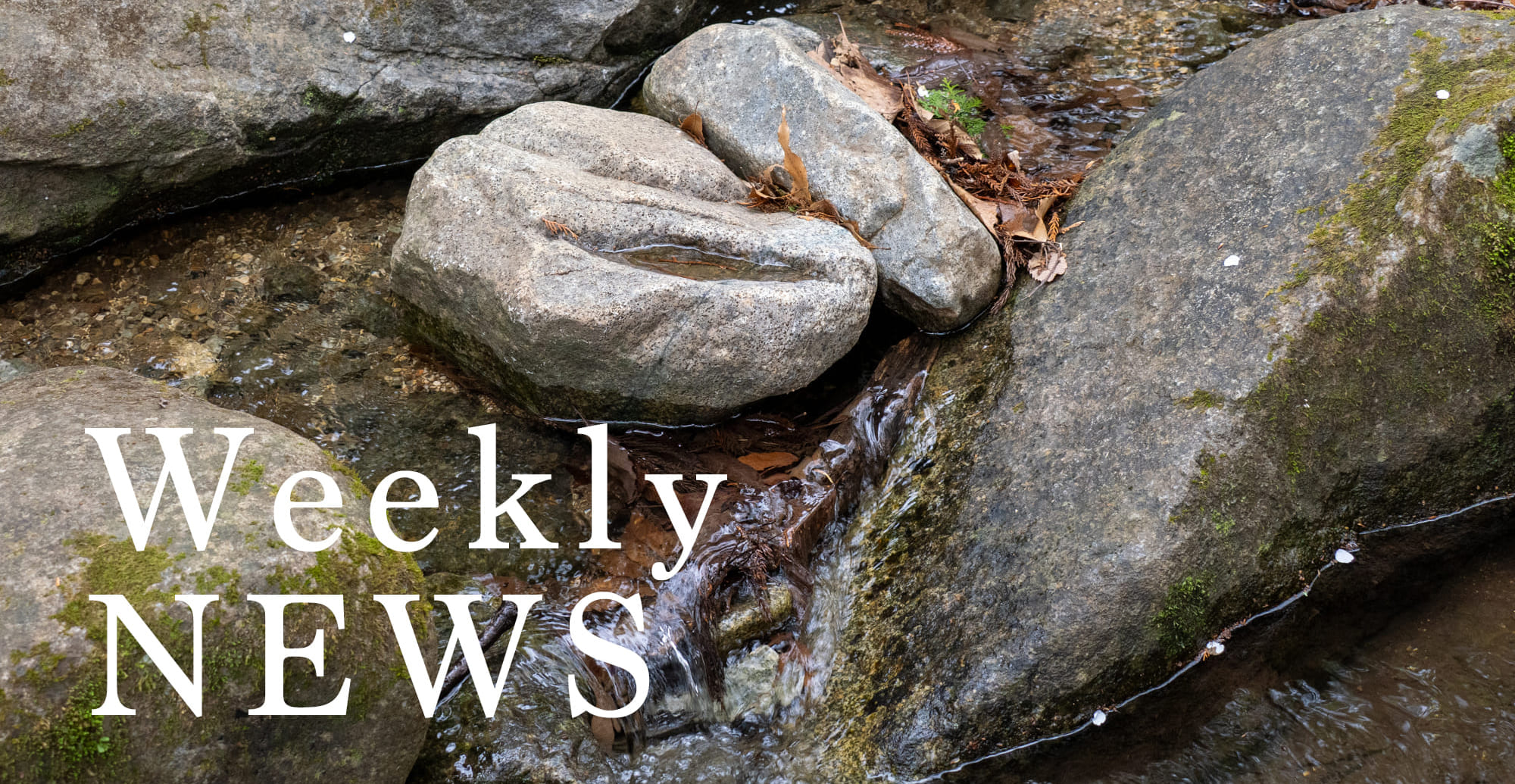 4月12日〜4月18日の刃物・道具・造園ニュース｜天空の坪庭8開催と荒波の鋼材関税